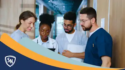 Courses in a Registered Nursing Degree Program