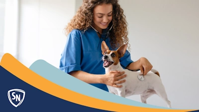 Courses in a Veterinary Assistant Program